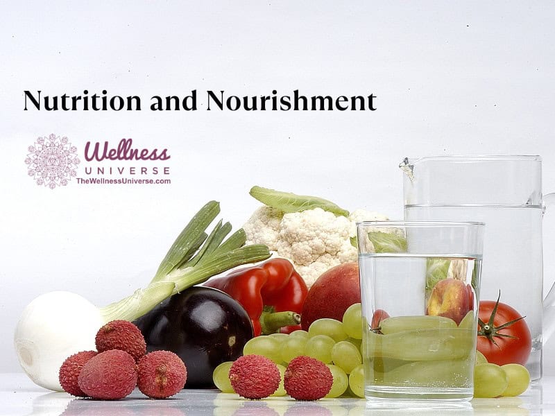 Blood Sugar Regulation: Essential Knowledge for Health Coaches